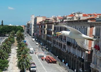 Flying Umarell (Dietrich Steinmetz)