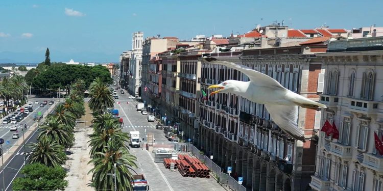 Flying Umarell (Dietrich Steinmetz)