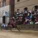 Cara a su entu andrea deidda palio di siena