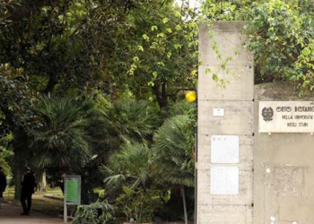 Estate all’Orto botanico di Cagliari, appuntamenti di musica e cultura nel segno di Eva Mameli Calvino