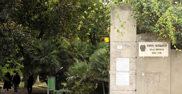 Estate all’Orto botanico di Cagliari, appuntamenti di musica e cultura nel segno di Eva Mameli Calvino