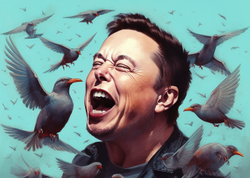 Twitter Elon Musk restrizioni