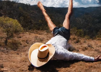 A 3D Country for Geese