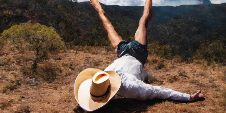 A 3D Country for Geese