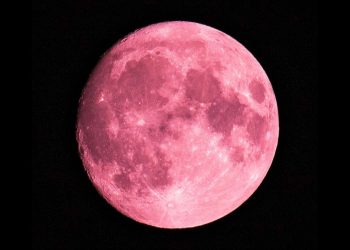 Pink moon, dalla terra alla luna il grido contro la violenza sulle donne (Matteo Mossa)