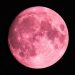 Pink moon, dalla terra alla luna il grido contro la violenza sulle donne (Matteo Mossa)