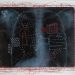 Arte, allo Spazio e movimento di Cagliari la mostra “E te ne farò dono” di Luciana Aironi