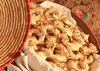 Innovazione e ruralità, se ne parla al festival EcoRurality-Qi tra Allai, Busachi e Samugheo