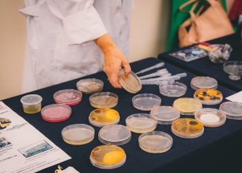 Il sapere in movimento, in arrivo la nuova edizione del Festival Scienza. Tra gli ospiti Luca Bindi, Cristina Messa, Roberto Battiston e Michela Matteoli