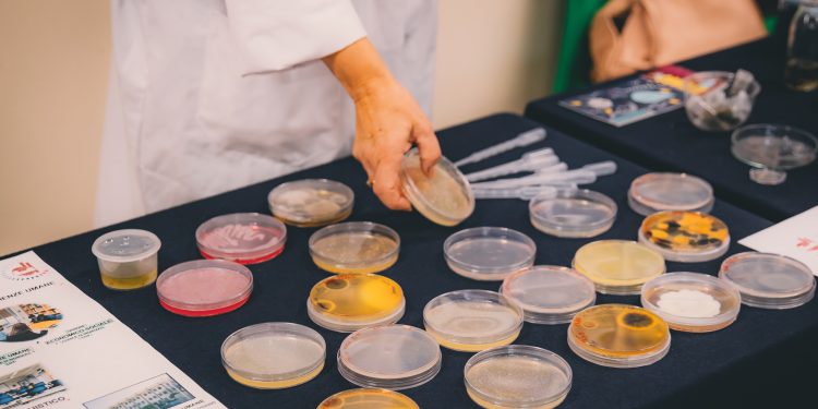 Il sapere in movimento, in arrivo la nuova edizione del Festival Scienza. Tra gli ospiti Luca Bindi, Cristina Messa, Roberto Battiston e Michela Matteoli