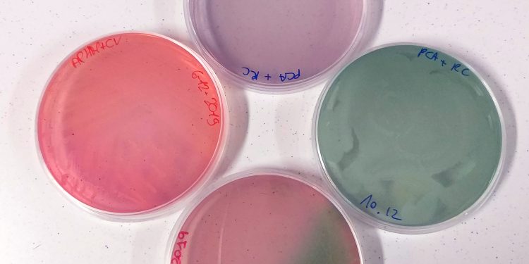 FUTURA. Il nostro terreno di coltura: una storia di patate, cavolo rosso e lockdown