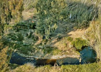 ZenaRio Leni, dalla rinascita di un fiume alla creazione di un villaggio artistico nelle campagne di Serramanna