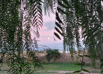 Nulla è come appare