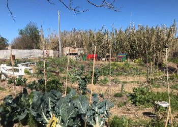 Mercatino dell’usato, niente soldi, solo baratto nell’orto sinergico di Quartucciu