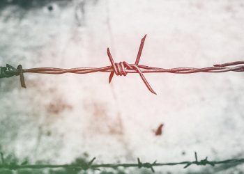 Muri tecnologici. La violazione dei diritti dei migranti nell’era digitale