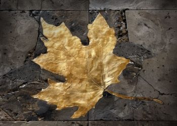 Le FoglieMorte in primavera di Neffa