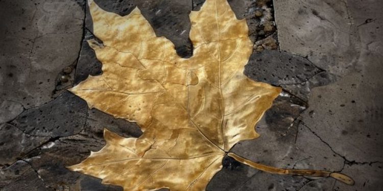 Le FoglieMorte in primavera di Neffa