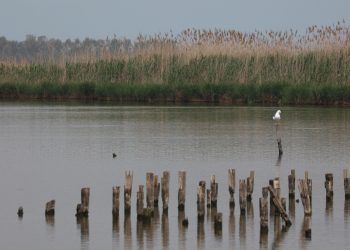“Spazi per i sogni” al via il 4 e 5 maggio nell’Isola Monumenti Aperti con oltre 800 siti visitabili