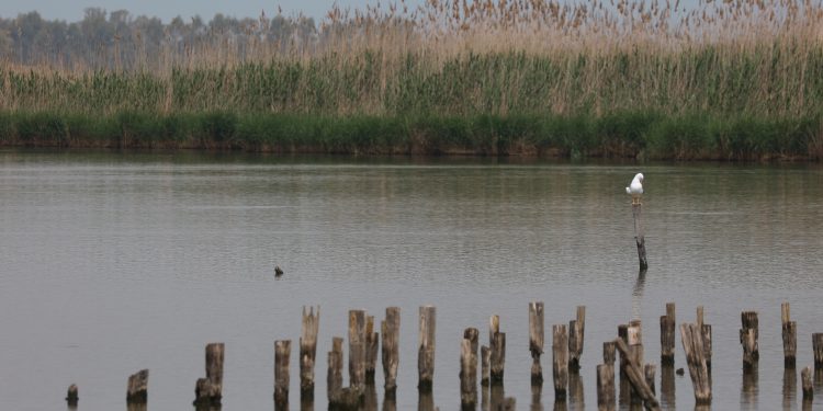 “Spazi per i sogni” al via il 4 e 5 maggio nell’Isola Monumenti Aperti con oltre 800 siti visitabili