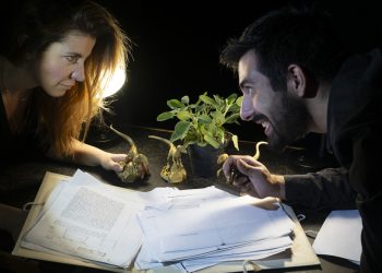 Batisfera vola a Edimburgo per il Fringe Festival di teatro con “La grande guerra degli Orsetti Gommosi”