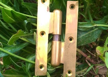 Alfabeto interno. P come Perno