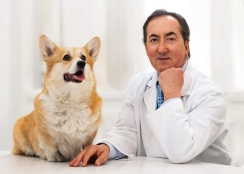 “Nuovo Disordine Mondiale”, dal 25 al 28 luglio al Lazzaretto di Cagliari torna il festival letterario di Vox Day