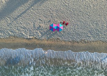 Solanas al risveglio (Dietrich Steinmetz)