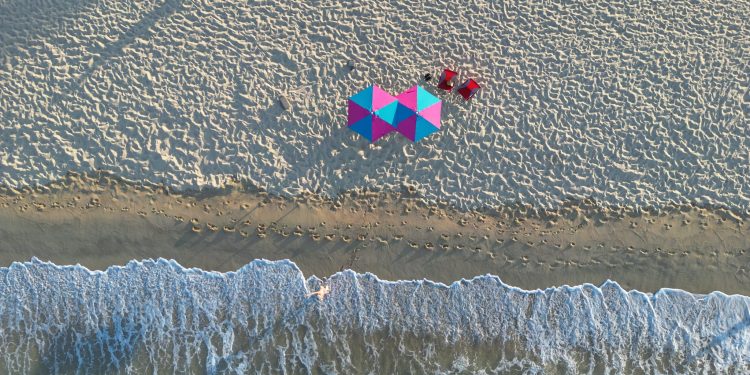 Solanas al risveglio (Dietrich Steinmetz)