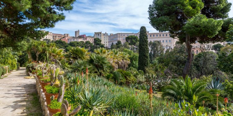 Torna a Cagliari Passione Scienza Day, la scoperta è una grande avventura