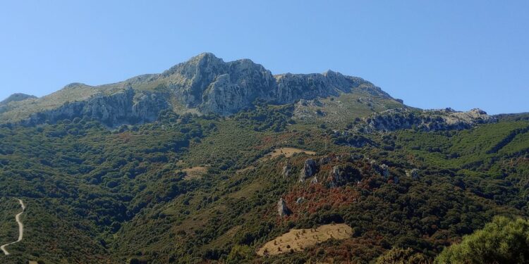 Locos de Cultura, con la seconda edizione del progetto i centri del Montalbo si ripresentano tra chiese, domus de janas, tombe dei giganti, torri e musei