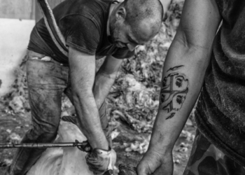 ‘Tundhimentas’, l’arte della tosatura raccontata dalla fotografia di Francesco Pintore