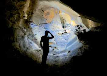 Capisco le creature che abitano questi luoghi, si allontanano dalla tristezza del nostro mondo