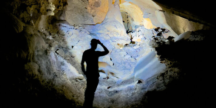 Capisco le creature che abitano questi luoghi, si allontanano dalla tristezza del nostro mondo