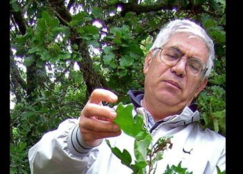 La Sardegna piange la scomparsa del botanico Ignazio Camarda, custode dell’ambiente e della biodiversità