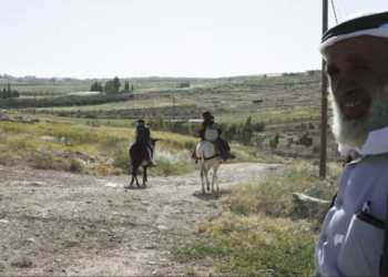 Una finestra sul mondo arabo, al via a Cagliari l’edizione 21 di Al Ard Film Festival