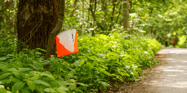 Orienteering, una sfida per mente e corpo che sta conquistando il mondo. Giusto De Colle: “La Sardegna è ricca di scenari di grande valore”