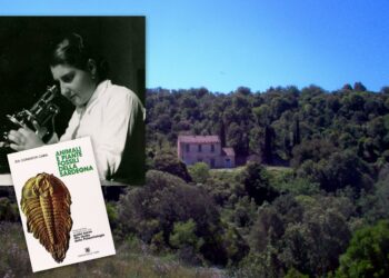 Dalla foresta del silenzio all’Università, la storia della paleontologa Ida Comaschi Caria, prima donna sarda ad ottenere una cattedra nell’ateneo cagliaritano