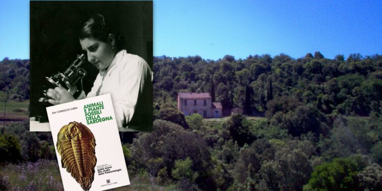 Dalla foresta del silenzio all’Università, la storia della paleontologa Ida Comaschi Caria, prima donna sarda ad ottenere una cattedra nell’ateneo cagliaritano