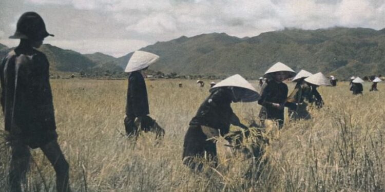 Il Vietnam dimenticato. Quando i soldati sardi della Legione Straniera morirono al servizio del colonialismo francese