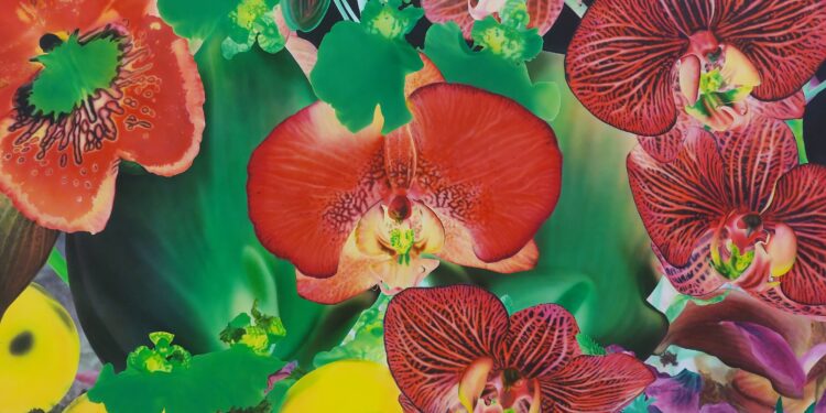 Bellezza e natura, la Saatchi Gallery di Londra celebra i fiori e il loro immaginario con le opere di oltre 140 artisti