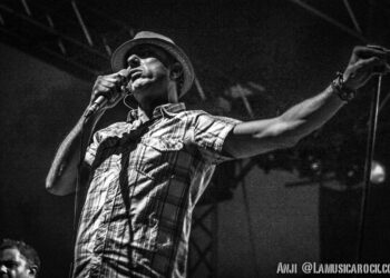 Il Cane Randagio Neffa sta bene anche a casa al caldo