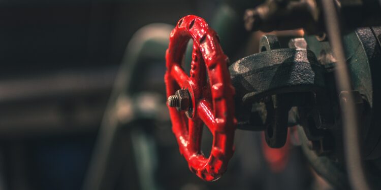 Alfabeto interno. V come Valvola